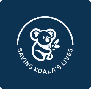 Saving Koala's Lives